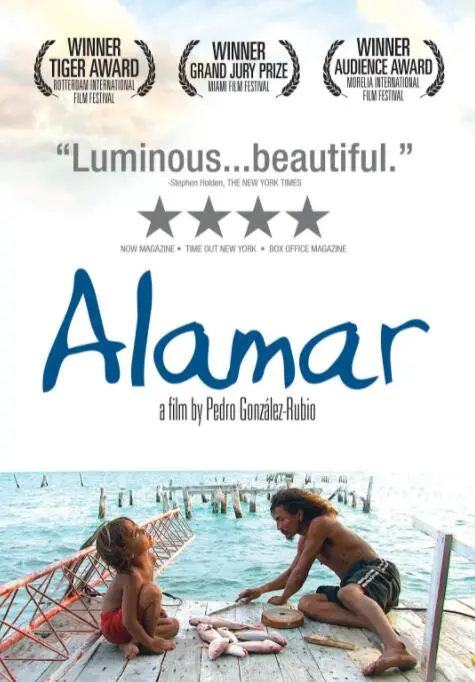 《拥抱大海》：治愈系佳作！聆听海的声音，感受生命的律动，找回内心的平静！