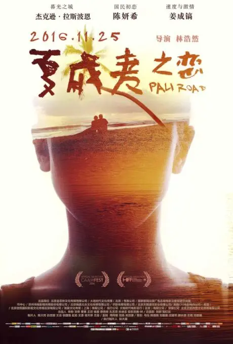 夏威夷之恋 海报
